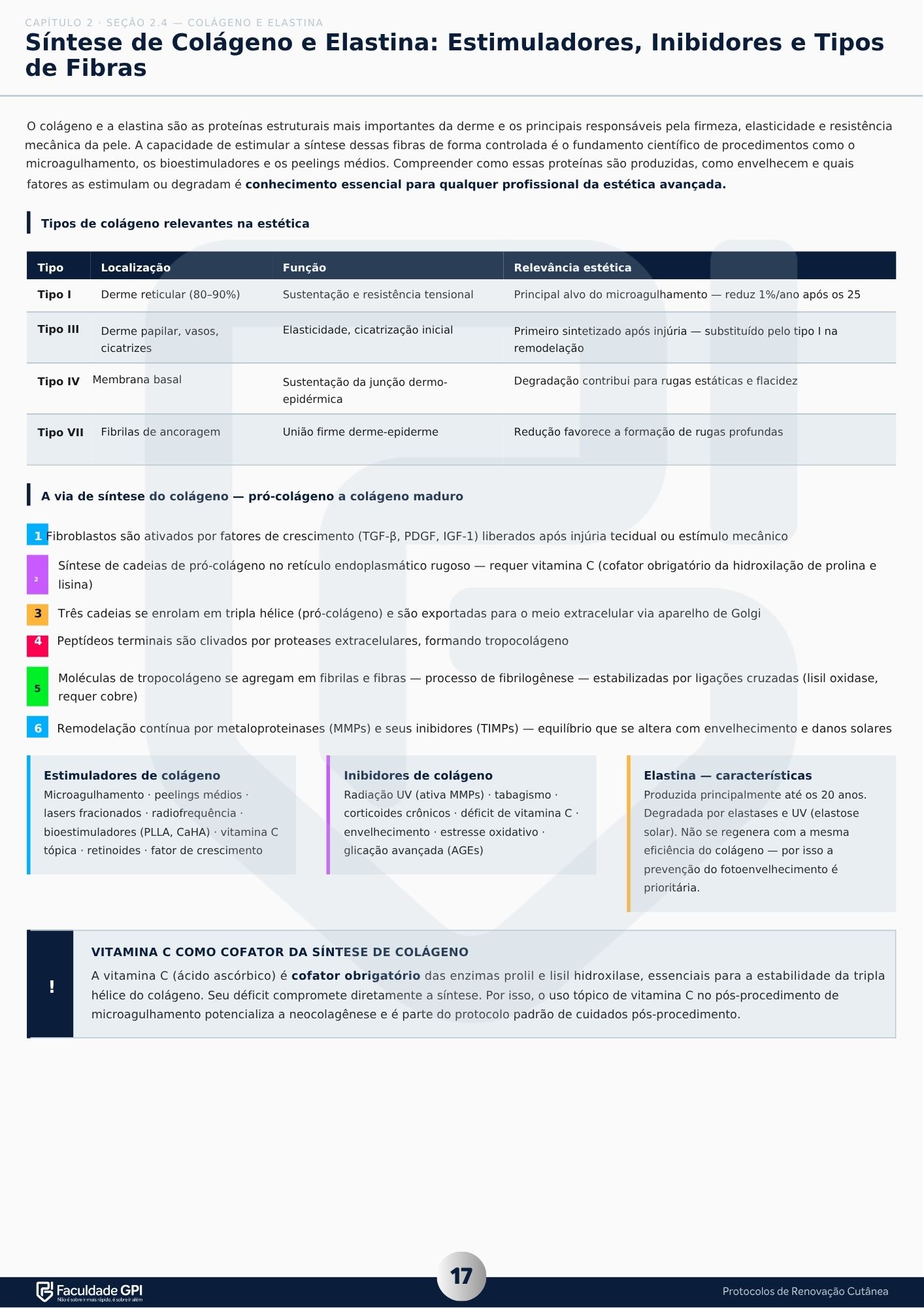 Página 17 — Mecanismo do Microagulhamento