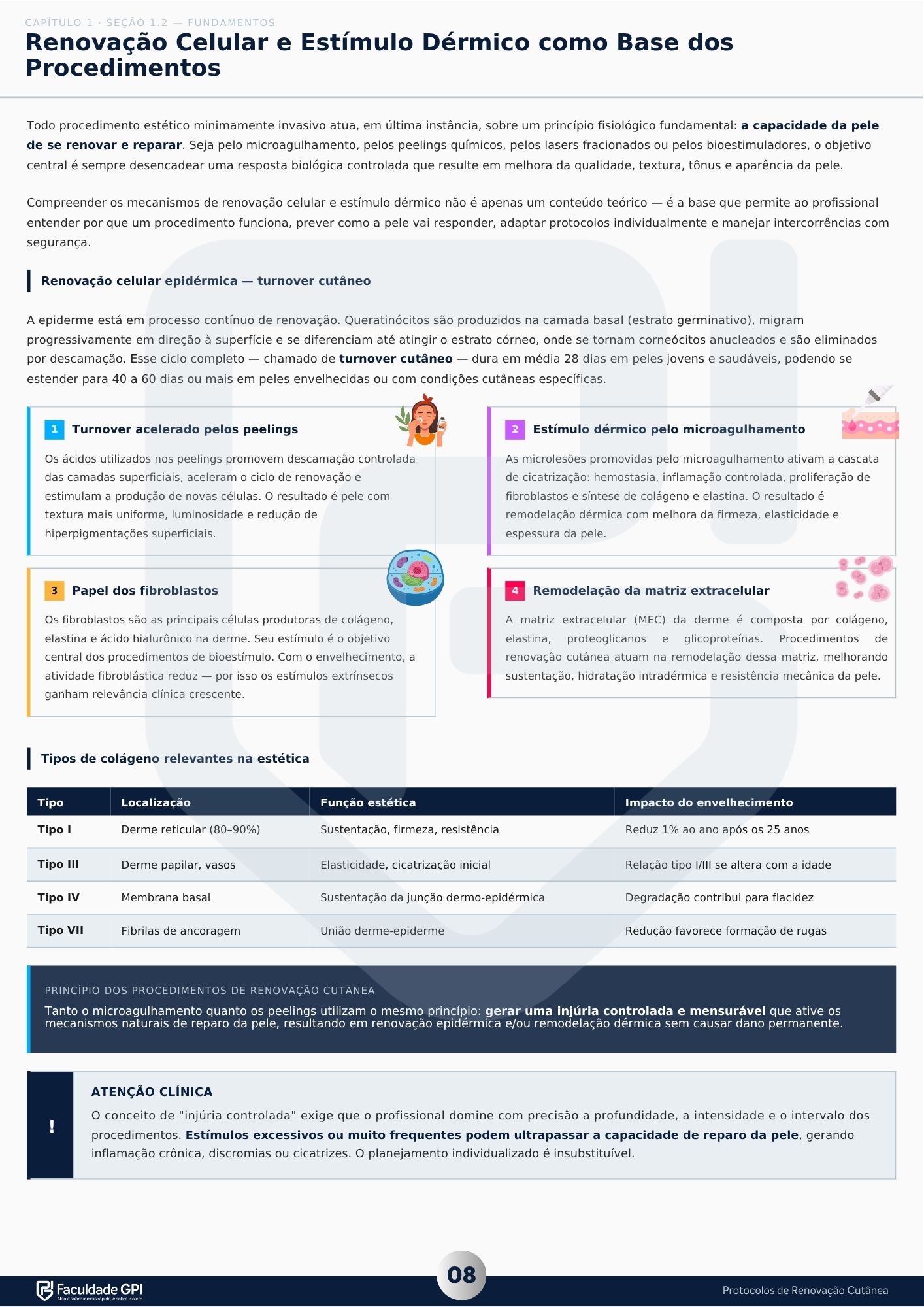 Página 8 — Fundamentos
