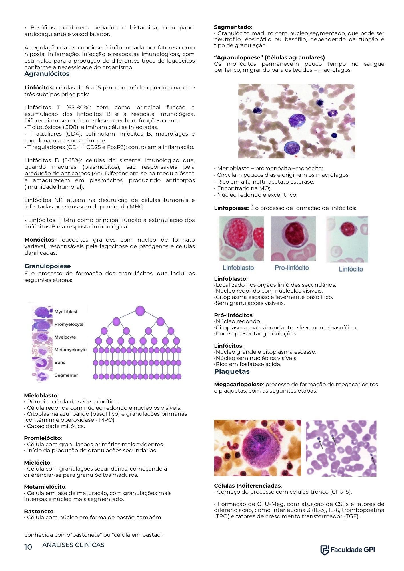 Página interna do e-book — 3