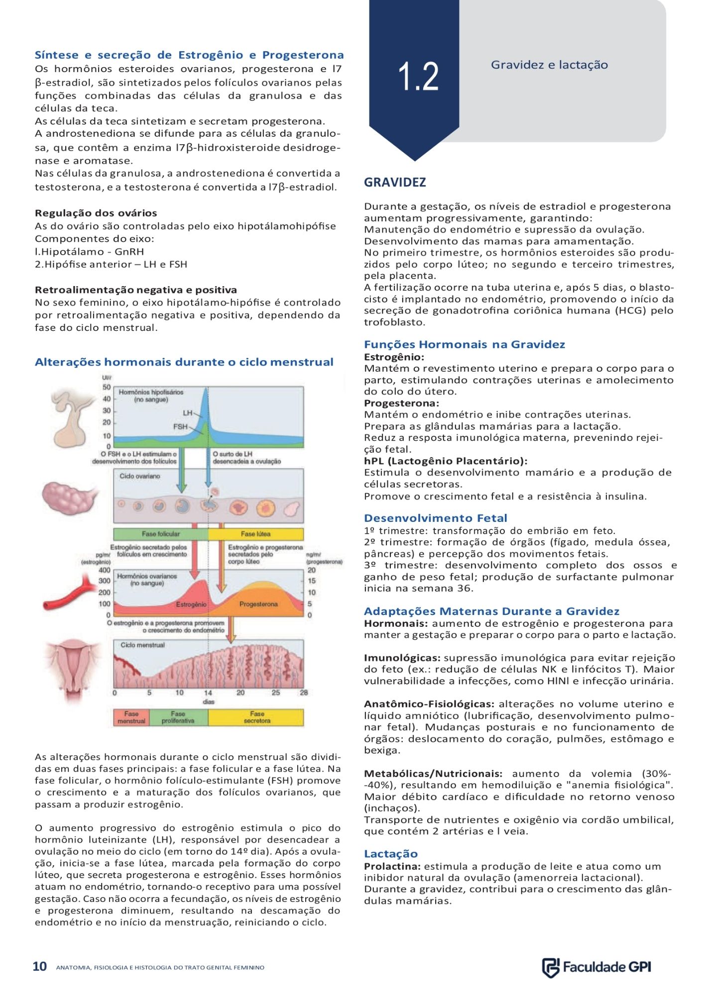Página 2 do e-book