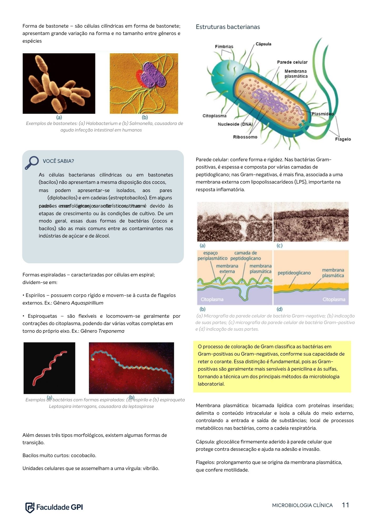 Página do e-book de Microbiologia Clínica