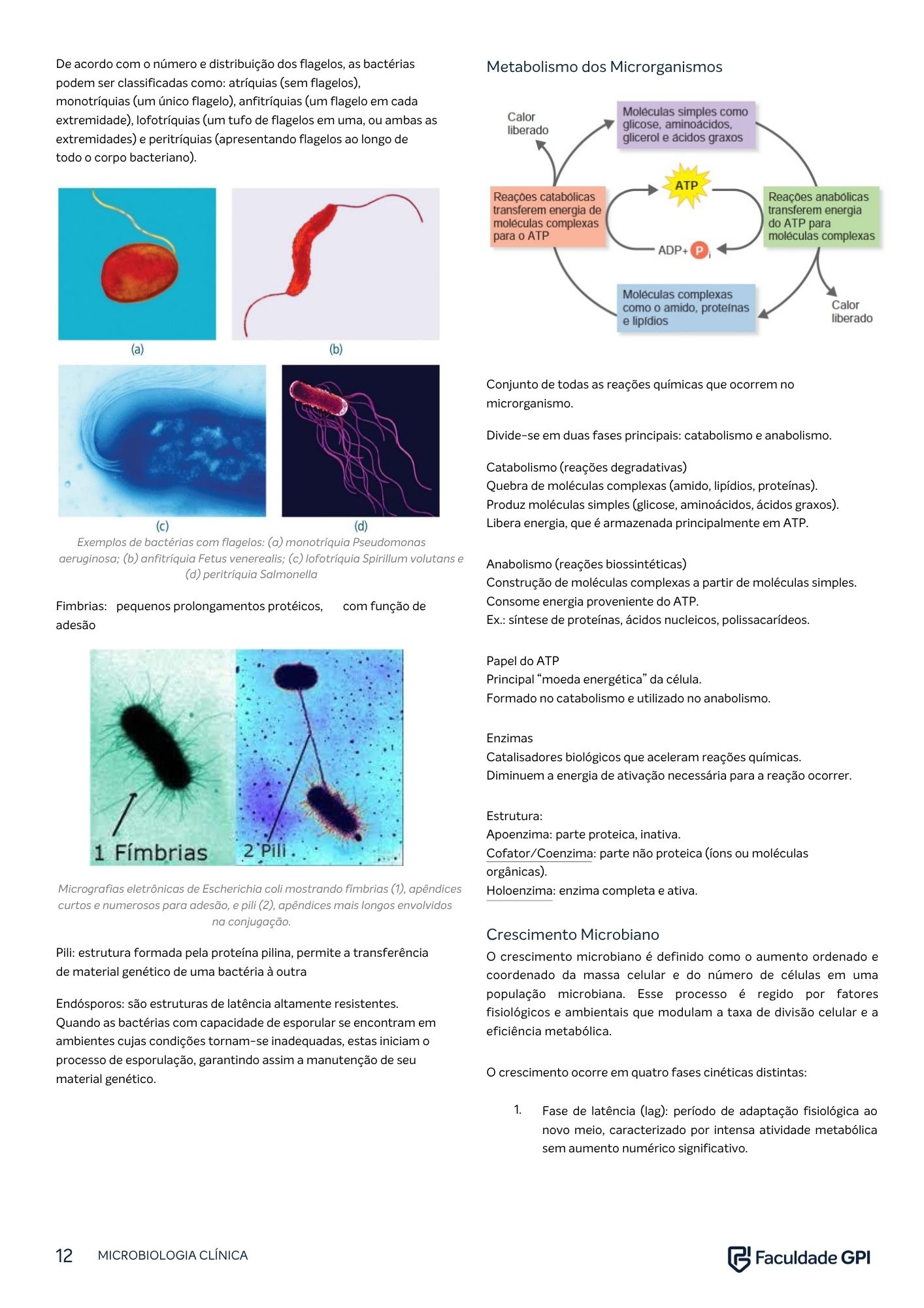 Página do e-book de Microbiologia Clínica