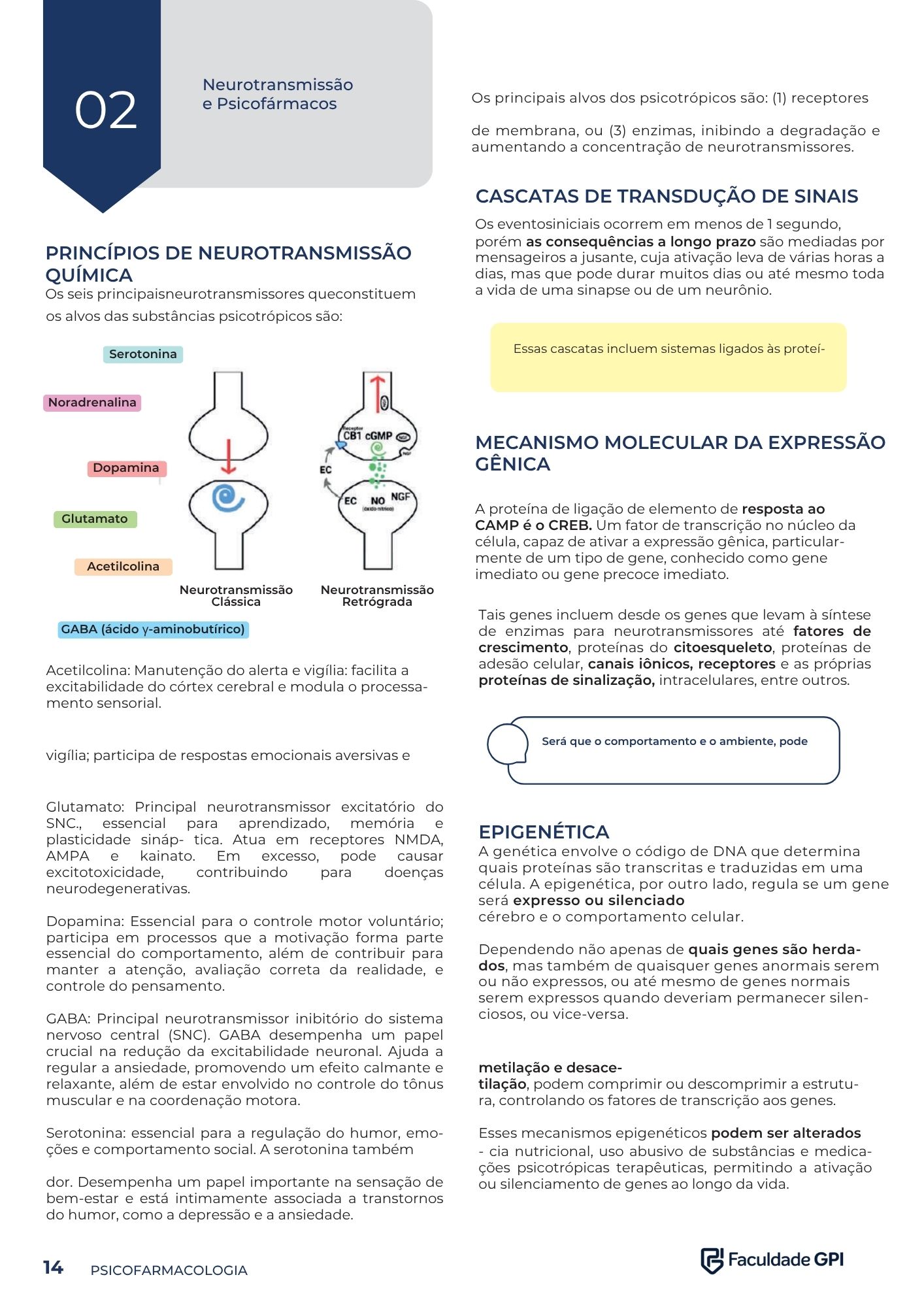 Página do Manual de Psiquiatria Clínica