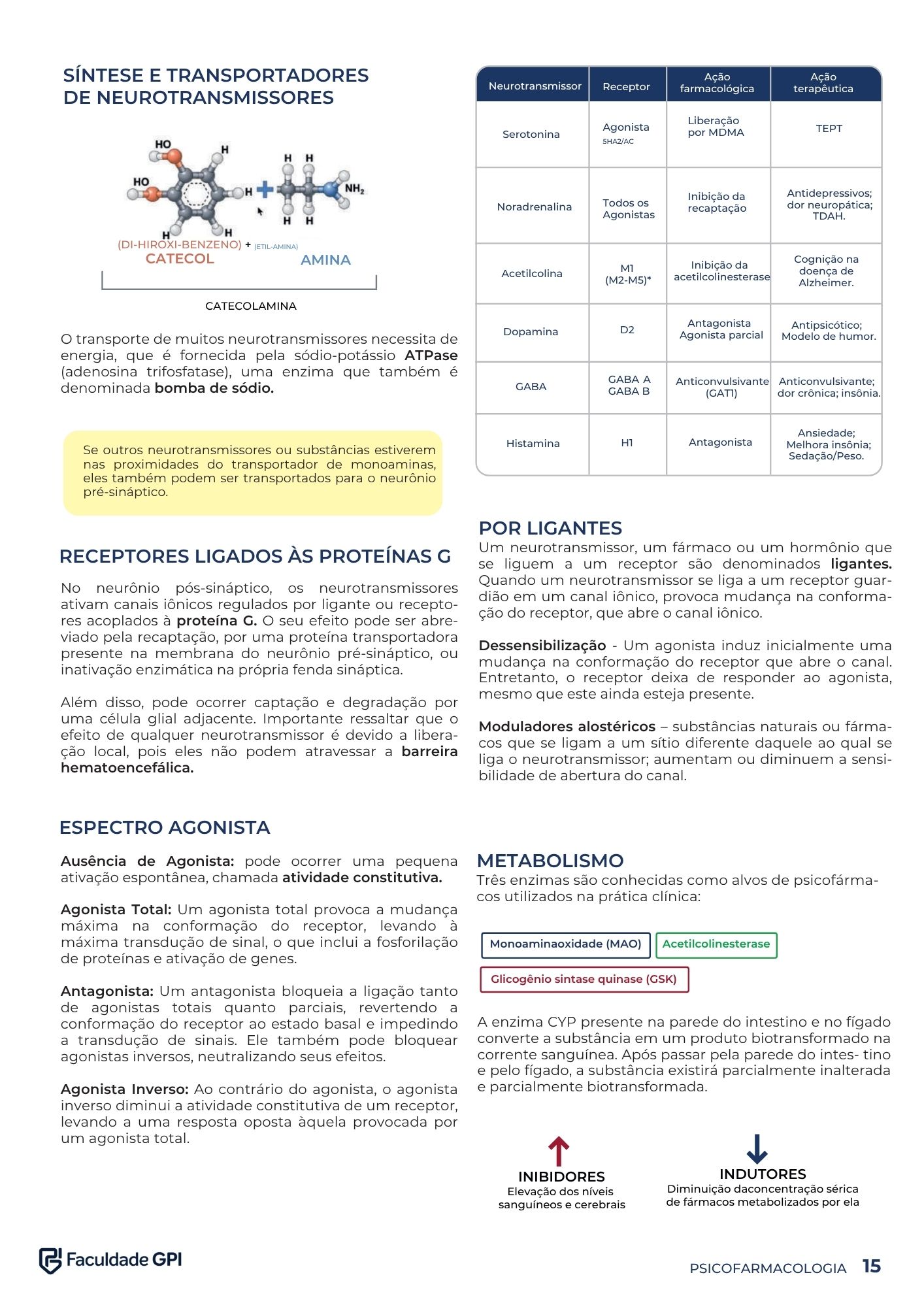 Página do Manual de Psiquiatria Clínica