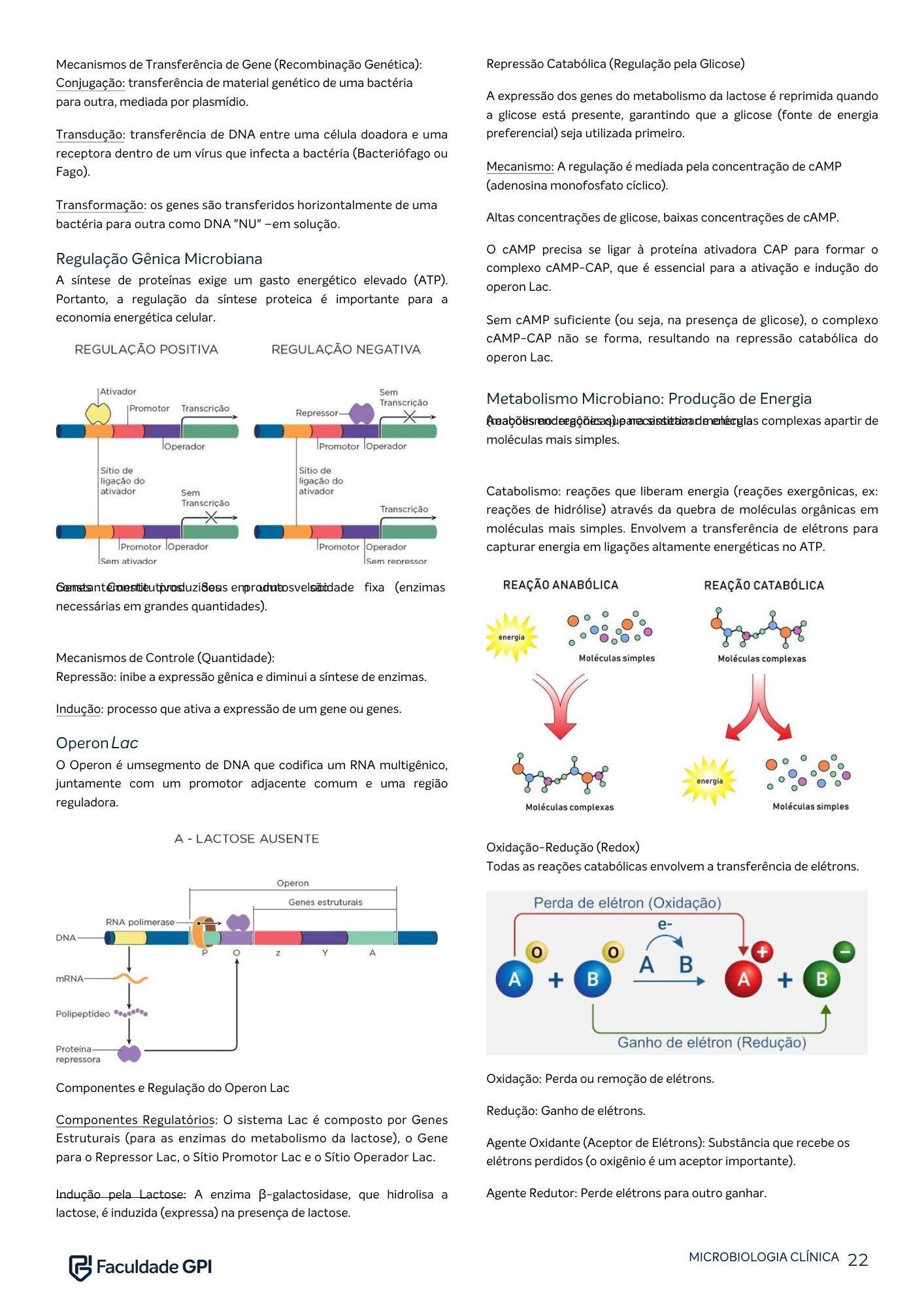 Página do e-book de Microbiologia Clínica