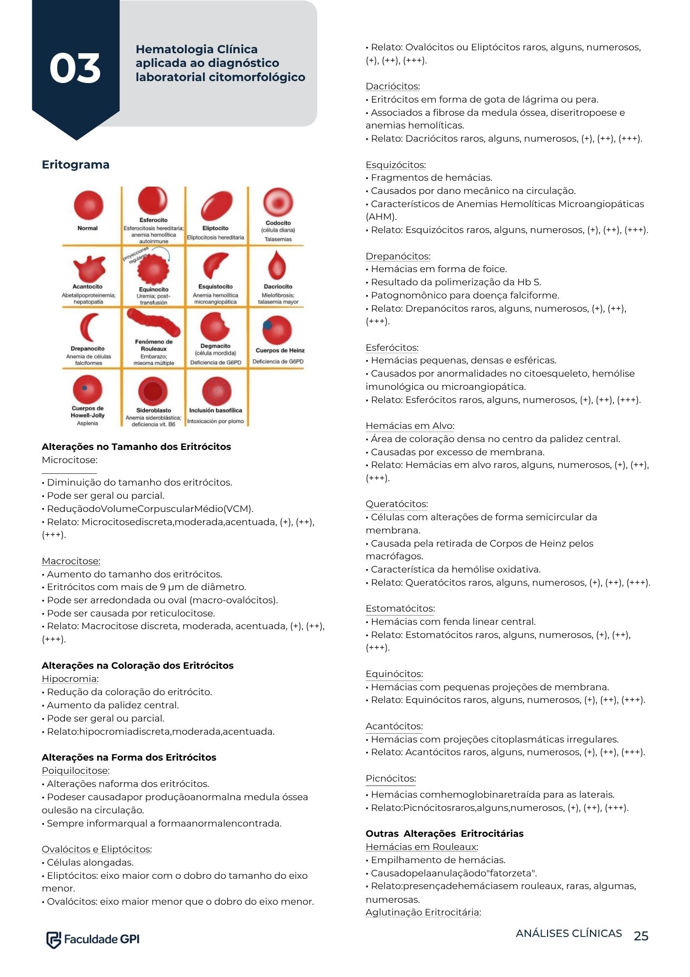 Página interna do e-book — 8