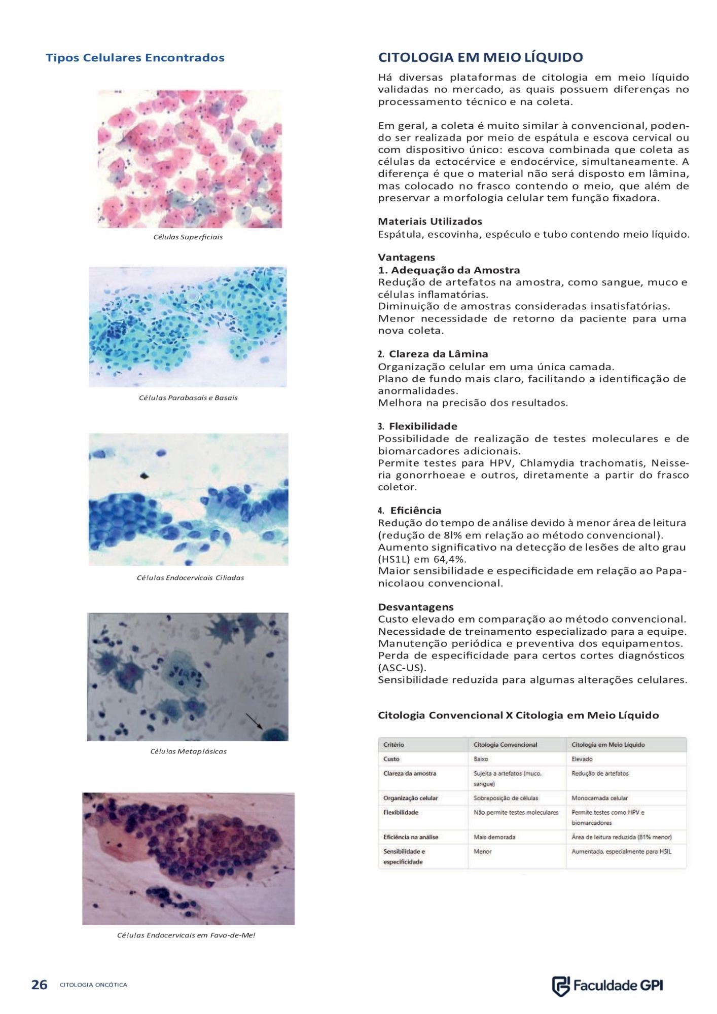 Página 5 do e-book