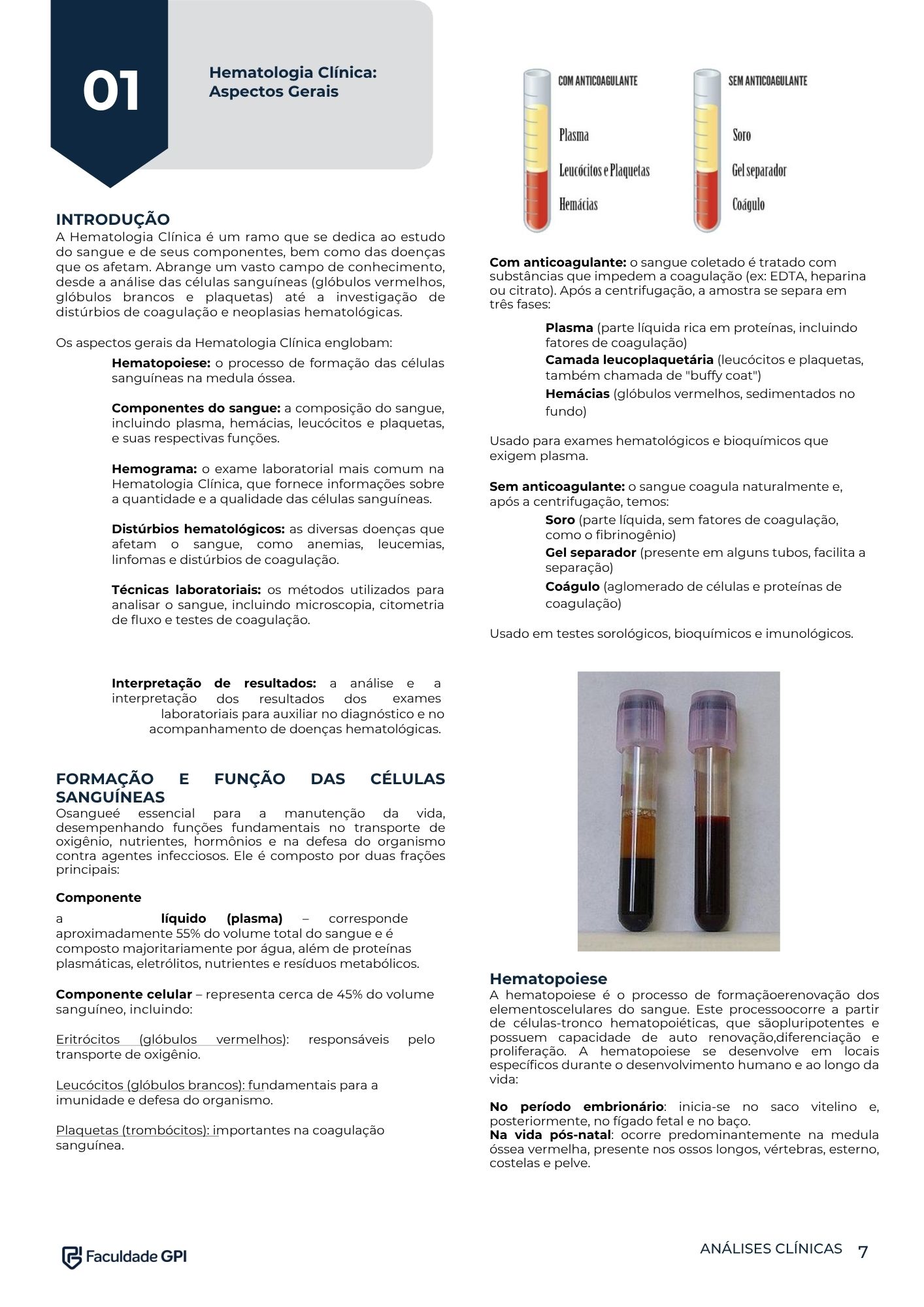 Página interna do e-book — 1
